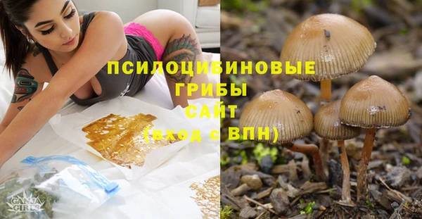 дурь Верея