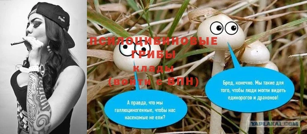 дурь Верея