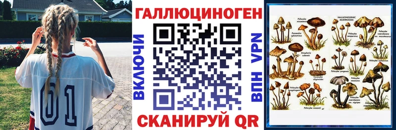 MEGA зеркало  Волжск  Псилоцибиновые грибы Psilocybe 