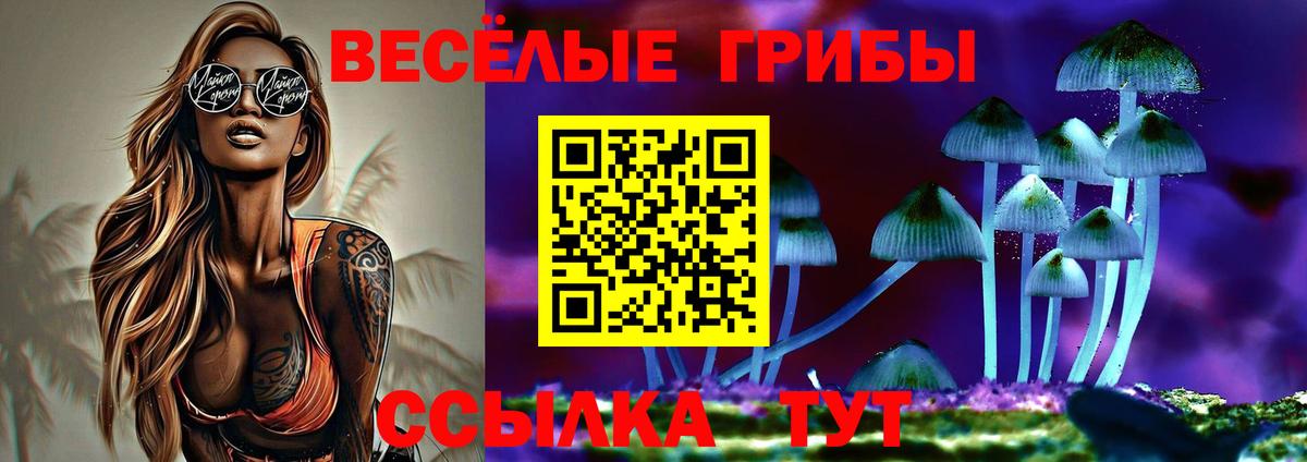 Галлюциногенные грибы Magic Shrooms  сколько стоит  Волжск  Псилоцибиновые грибы Cubensis 