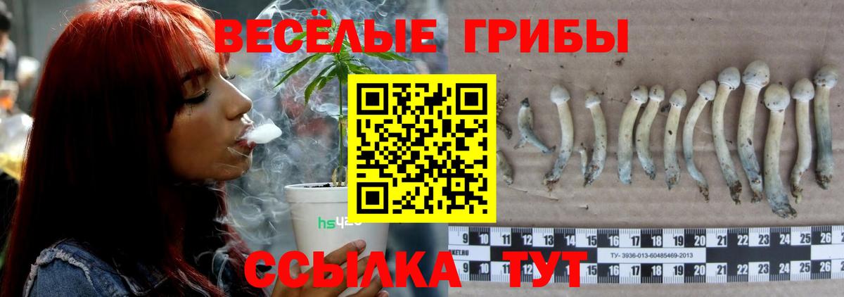 Галлюциногенные грибы мухоморы  Вход с VPN  Волжск 