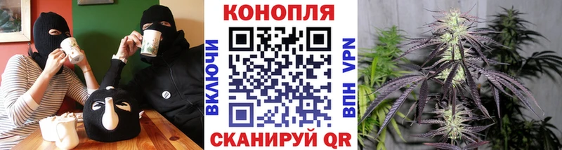как найти   Волжск  Марихуана тримм 